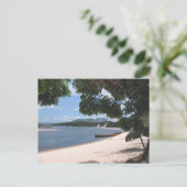 Carte Postale Sandy Beach Venezuela Jungle Paysage (Debout devant)