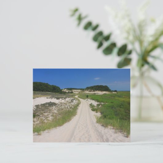 Carte Postale Sandy Neck Beach Marsh Trail Barnstable Cape Cod (Debout devant)