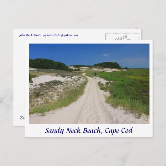 Carte Postale Sandy Neck Marsh Trail, Sandy Neck Beach, Cape Cod (Devant / Derrière)