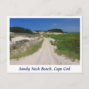 Carte Postale Sandy Neck Marsh Trail, Sandy Neck Beach, Cape Cod