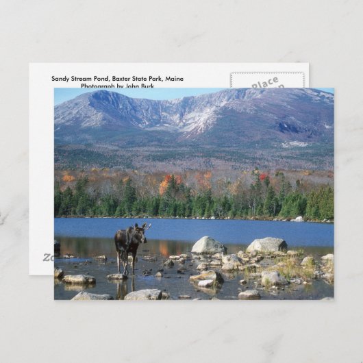 Carte postale Sandy Stream Pond (Devant / Derrière)