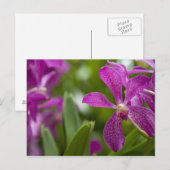 Carte Postale Sanskrit de Singapour pour Lion City). National (Devant / Derrière)