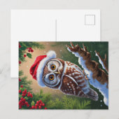 Carte postale Santa Hat Owl (Devant / Derrière)