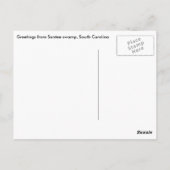 Carte postale Santee, carte postale SC Nautical Ch (Dos)