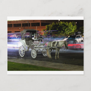 Carte Postale Santiago République Dominicaine