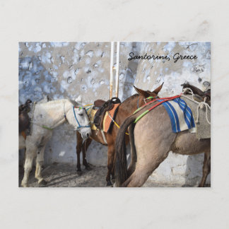 Carte Postale Santorin, Grèce - Donkeys