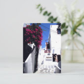 Carte postale Santorin Street (Debout devant)
