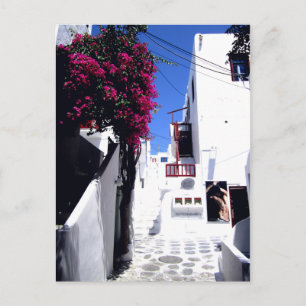 Carte postale Santorin Street