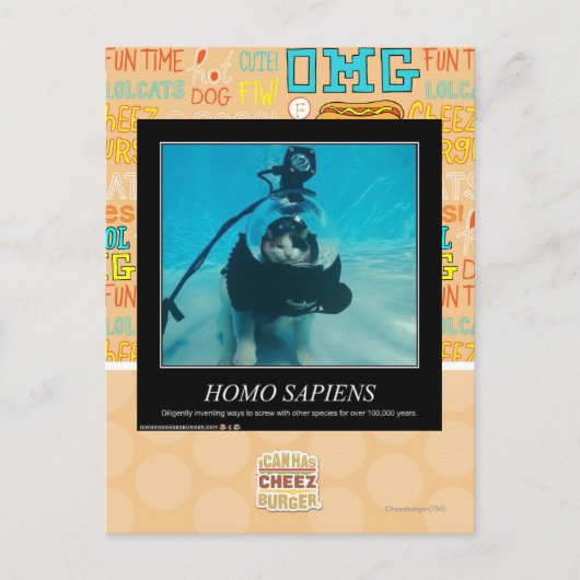 Carte Postale Sapiens Homos (Devant)