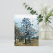 Carte Postale Sapin (Debout devant)