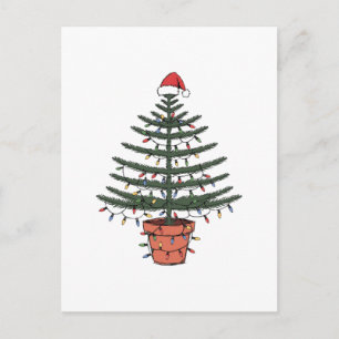 Carte Postale Sapin de Noël de l'île Norfolk en pot Araucaria