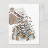 Carte Postale Sapin des lapins (Devant)