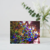 Carte Postale Sapins de Noël Dans La Rue (Debout devant)