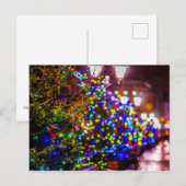 Carte Postale Sapins de Noël Dans La Rue (Devant / Derrière)