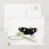 Carte postale Sara (Devant / Derrière)