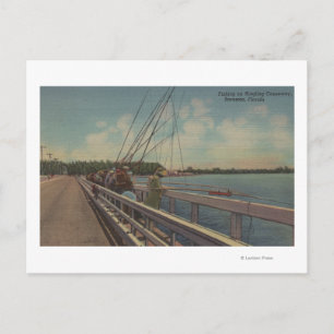 Carte Postale Sarasota, FL - Vue des gens qui pêchent au large