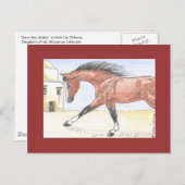 Carte Postale "Saree bint Sehkit" (Devant / Derrière)