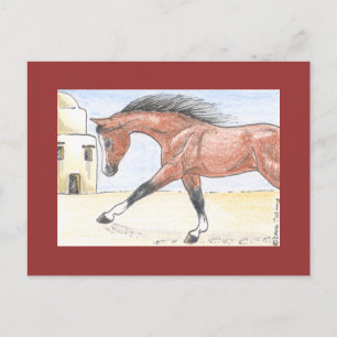 Carte Postale "Saree bint Sehkit"