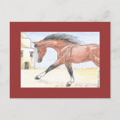 Carte Postale "Saree bint Sehkit" (Devant)