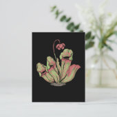 Carte Postale Sarracenia Plante Carnivore (Debout devant)