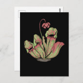 Carte Postale Sarracenia Plante Carnivore (Devant / Derrière)