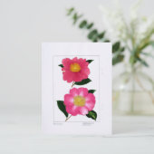 Carte Postale Sasanqua Plate: Asahinoumi & Godaishu (Debout devant)