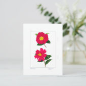 Carte Postale Sasanqua Plate: Ryomenko & Hiryu (Debout devant)