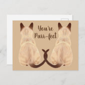 Carte Postale Sasha Siamese Amoureux des chats Back View Vous êt (Devant / Derrière)