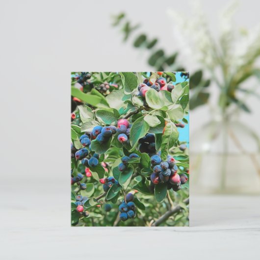 Carte Postale Saskatoon (Debout devant)