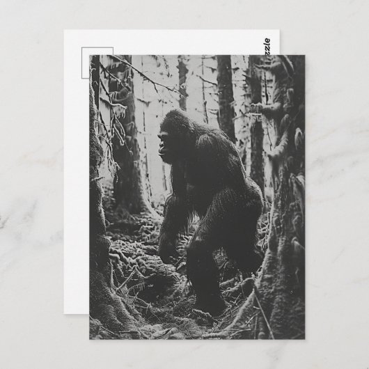 Carte Postale Sasquatch dans la forêt noir et blanc (Devant / Derrière)