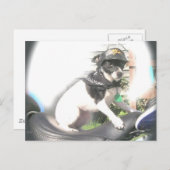 Carte Postale Sassy Biker Rat Terrier Babe (Devant / Derrière)