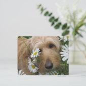 Carte Postale Sassy Girl (Debout devant)