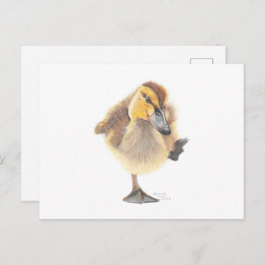 Carte postale Sassy New Zealand Grey (Devant / Derrière)