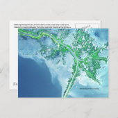 Carte postale satellite Delta de la rivière Missis (Devant / Derrière)