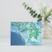 Carte postale satellite Delta du Mississippi (Debout devant)