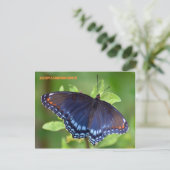 CARTE POSTALE SATIN LUMINESCENCE (Debout devant)