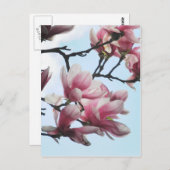 Carte Postale Saucer Magnolia Tulip Tree Fleurs Photo (Devant / Derrière)