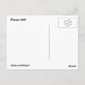 Carte Postale Saule au lac Cayuga (Dos)