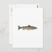 Carte Postale Saumon Atlantique (Devant / Derrière)