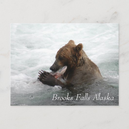 Carte Postale saumon Brown à Brooks Falls Alaska (Devant)