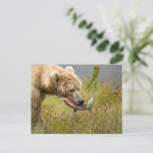Carte Postale Saumon Brown pour manger l'ours (Debout devant)