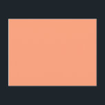 Carte Postale saumon de couleur<br><div class="desc">saumon FFA07A</div>