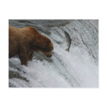 Saumon de pêche à l'ours, Brooks Falls Alaska