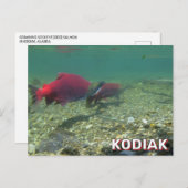 Carte Postale Saumon De Sockeye À Kodiak, Alaska (Devant / Derrière)