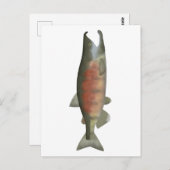 Carte Postale Saumon de sperme - Phase de frai (Devant / Derrière)