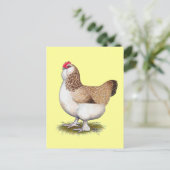 Carte Postale Saumon Faverolle Hen (Debout devant)