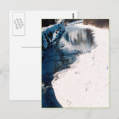 Carte Postale Saumon neigeux Idaho (Devant / Derrière)