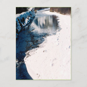 Carte Postale Saumon neigeux Idaho