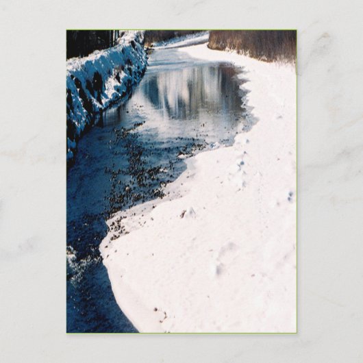 Carte Postale Saumon neigeux Idaho (Devant)