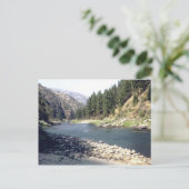 Carte Postale Saumon River Été (Debout devant)